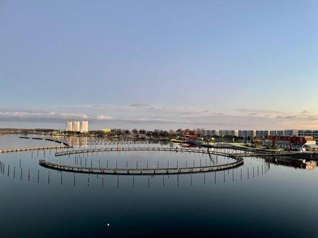 Appartamento Derankerplatz-Fehmarn Burgtiefe auf Fehmarn Esterno foto